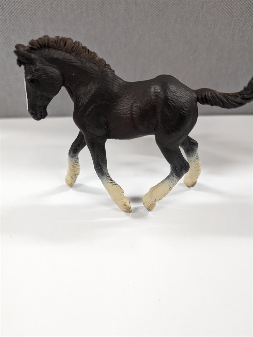 Shire Horse Foal - Black