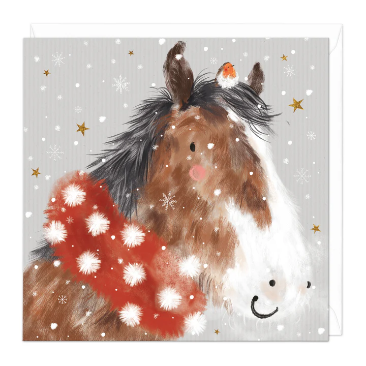 Christmas Cards - Horse & Robin