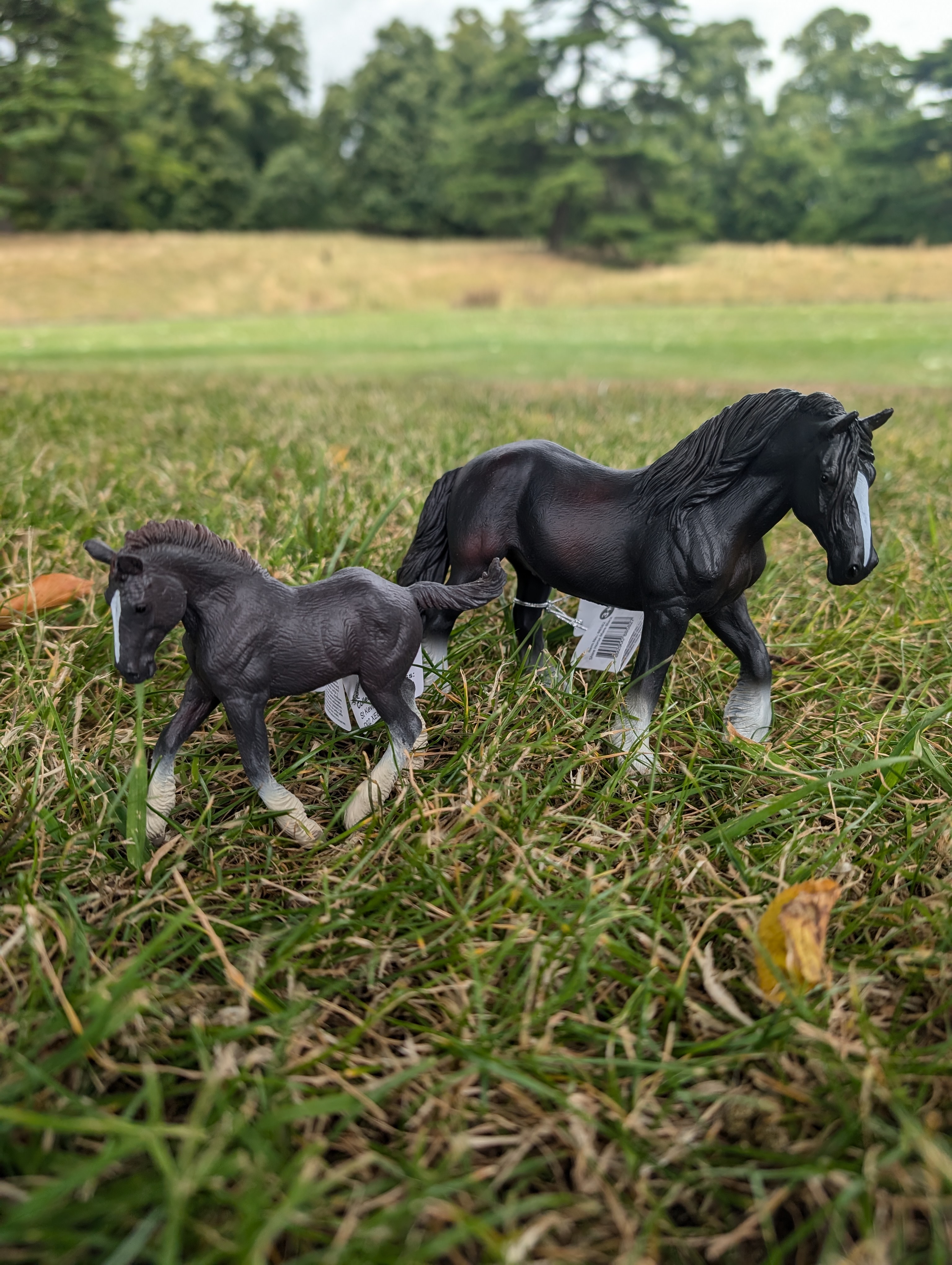 Shire Horse Mare & Foal Combo - Black